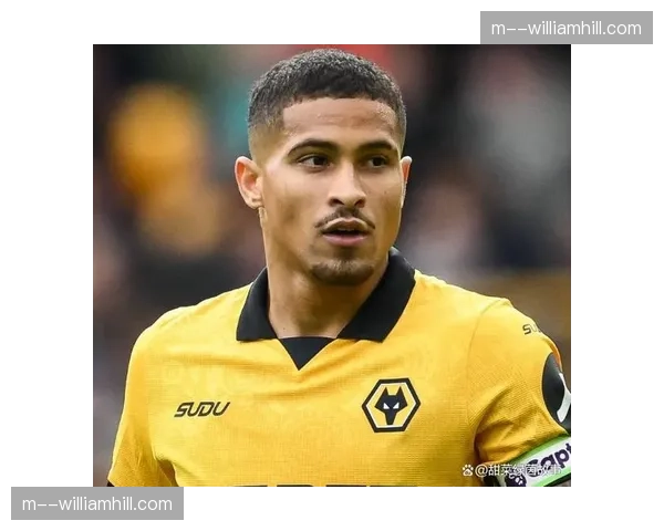 狼队若昂·戈麦斯52次犯规74次抢断 防守动作偏大